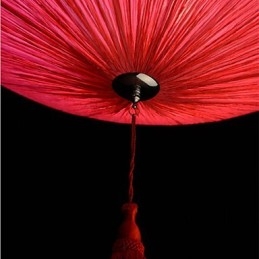 Frunze de Lotus Artă Modernă din Pânză Marină Droplight Of Red Lanterns Lamp Light