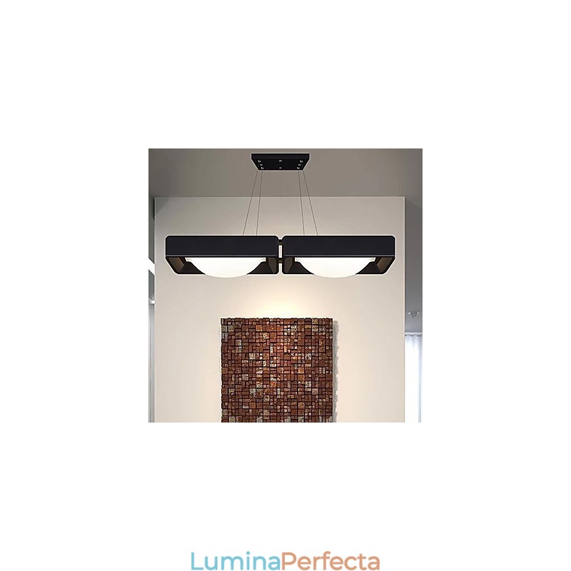 Lampe suspendate 2 Lumini Modern Simplu Artistic