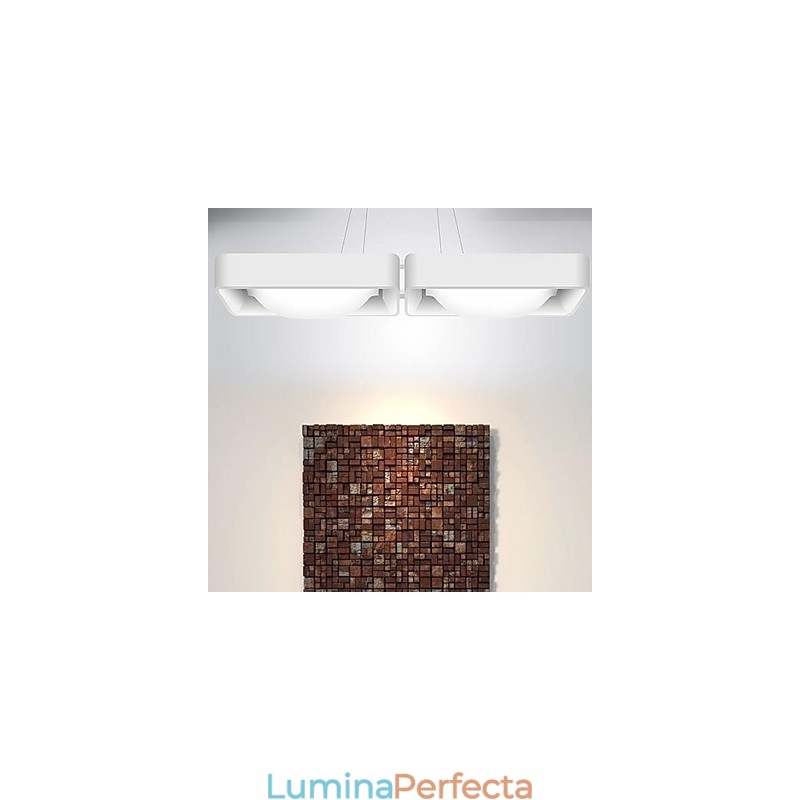 Lampe suspendate 2 Lumini Modern Simplu Artistic