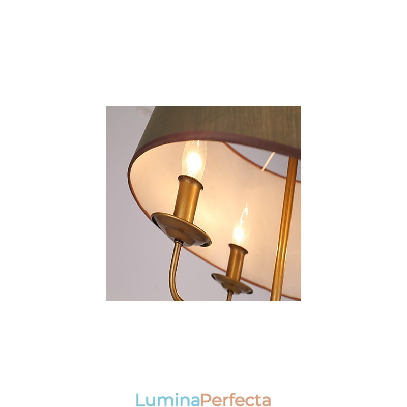 Caracteristică de pictură rustic Lodge pentru designeri Metal Interior Magazine Candelabru cu 2 becuri