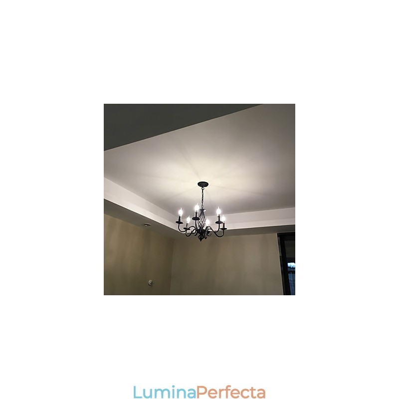 Artistic Chic & Modern Altele Caracteristică pentru Candelabru metal cu 6 becuri în interior