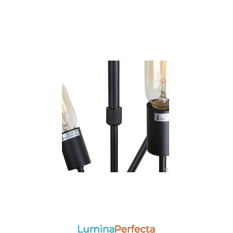 Pictură rustică pentru designeri. Candelabru cu 2 becuri