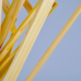 1 Lumină suspendată din lemn deschis modern și contemporan în stil nordic cu abajur din lemn