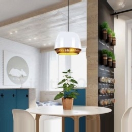 Lampă suspendată modernă și contemporană cu 1 lumină, cu nuanță negru, alb, roșu, albastru