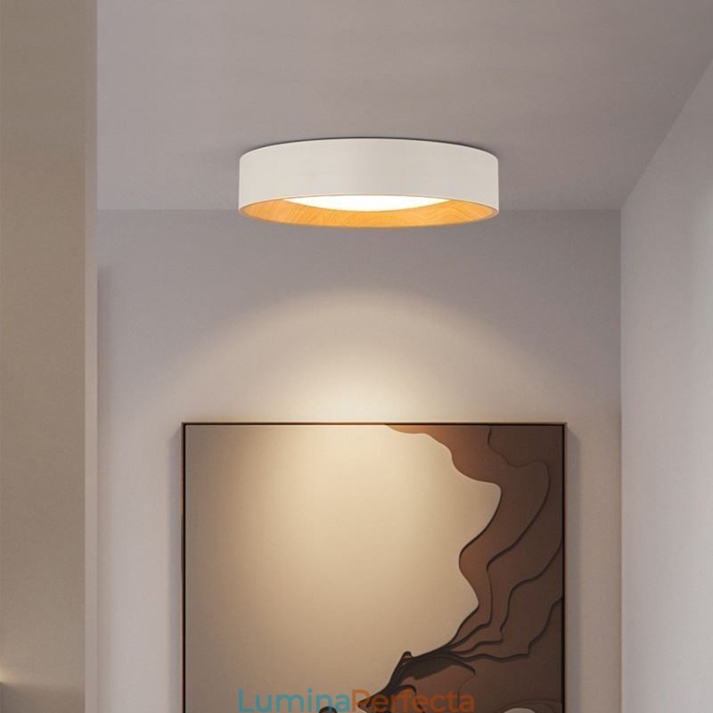 Plafoniera Modern Minimalist Plafoniera cu panou
