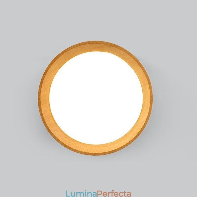 Plafoniera Modern Minimalist Plafoniera cu panou