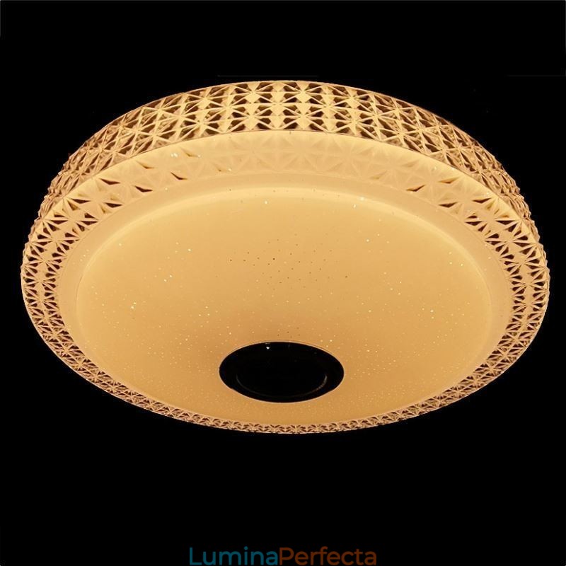 Plafoniera Lampă decorativă Telecomandă APP Control Bluetooth Muzică Difuzor Montare încasată