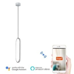 Lampă suspendată ovală Corp de iluminat decorativ din acril