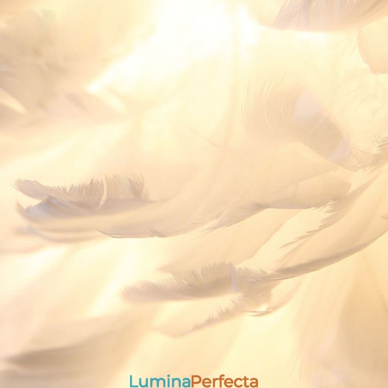 Corp de iluminat cu pandantiv decorativ Pretty Feather