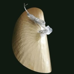 Plafoniera din alamă, modernă, minimalistă, frunze de lotus