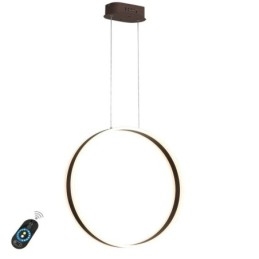 Lampă suspendată nordică Lampă suspendată acrilică în formă de inel