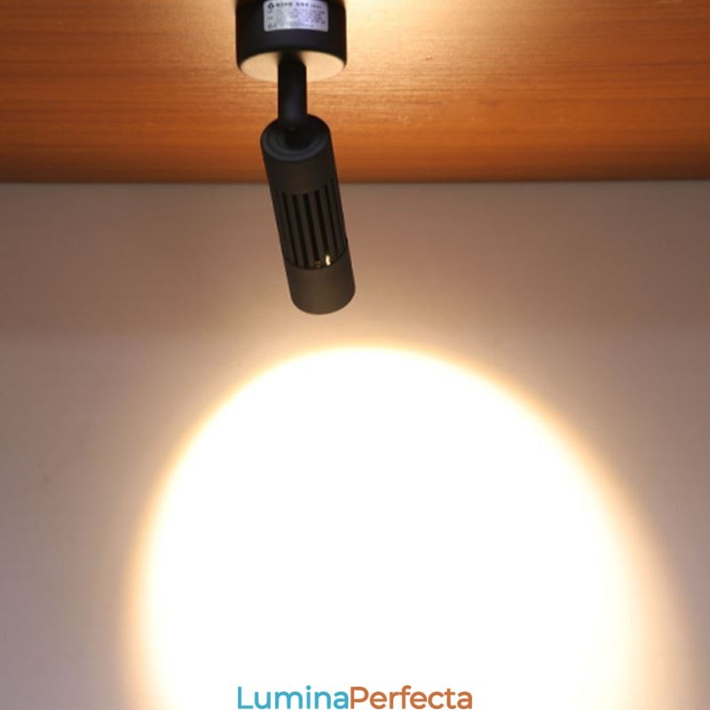 Reflector rotativ COB Spot negru de tavan (o singură lumină)
