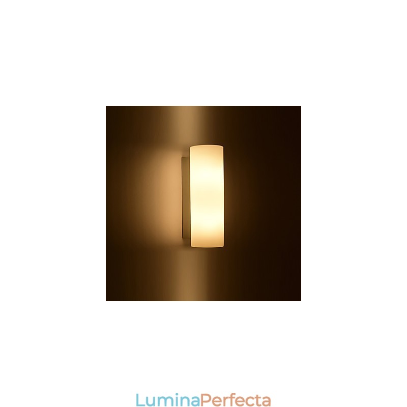 Aplică din sticlă Modern Contemporan Caracteristică Lumină ambientală Aplice de perete Aplic