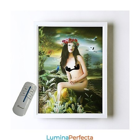 Funcție integrată de pictură modernă contemporană modernă contemporană pentru aplice de perete cu lumină ambientală