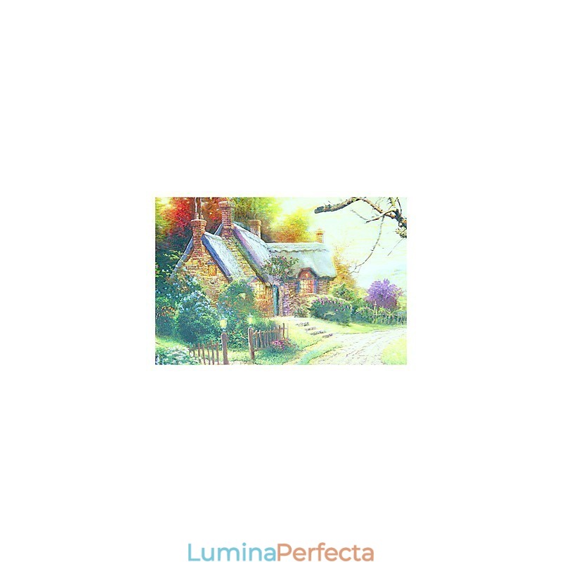 Funcție integrată de pictură modernă contemporană modernă contemporană pentru aplice de perete cu lumină ambientală