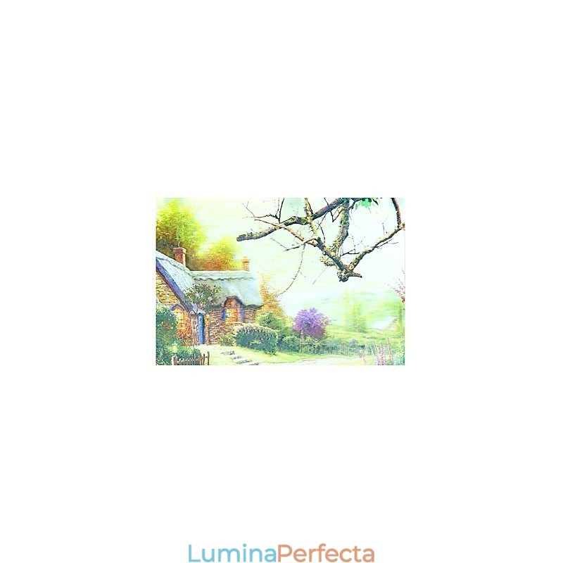 Funcție integrată de pictură modernă contemporană modernă contemporană pentru aplice de perete cu lumină ambientală