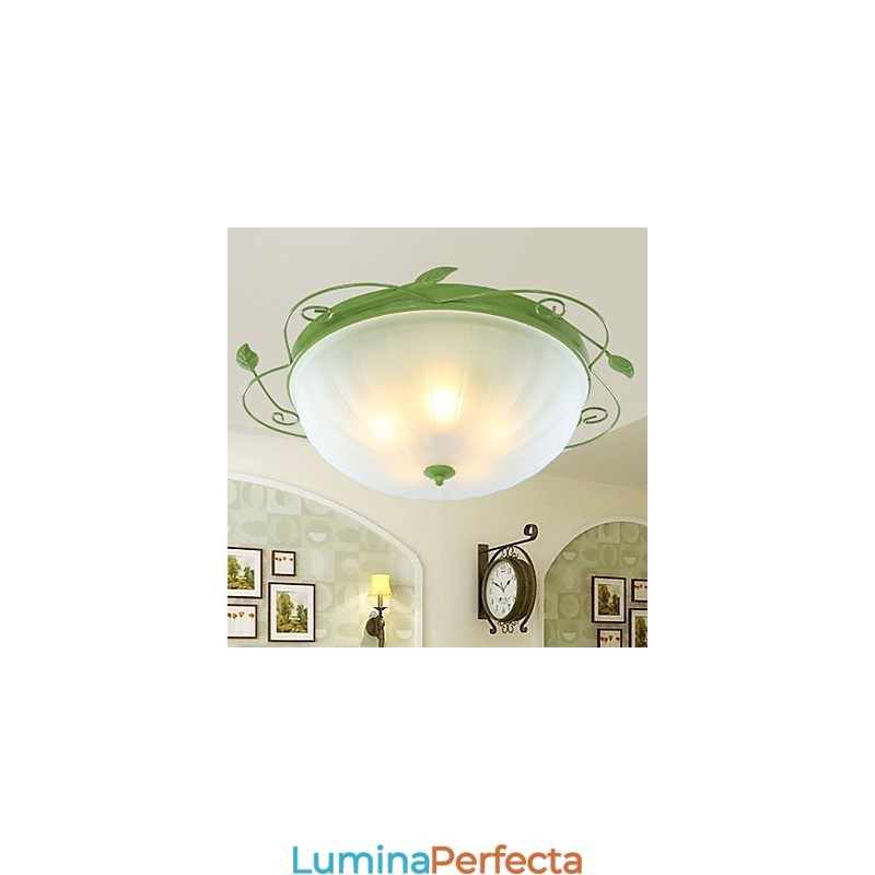 Florile și plantele de grădină de Ziua Îndrăgostiților Absorb Lumina Domului