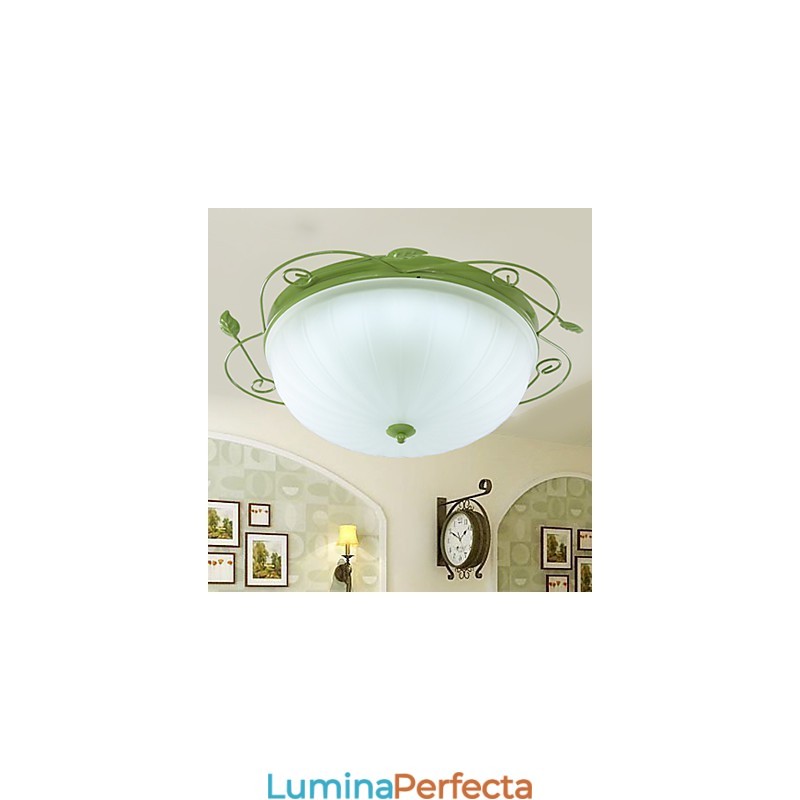 Florile și plantele de grădină de Ziua Îndrăgostiților Absorb Lumina Domului