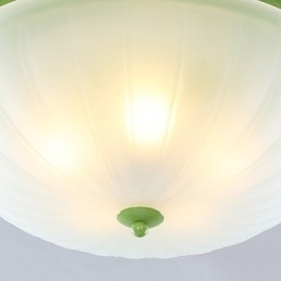 Florile și plantele de grădină de Ziua Îndrăgostiților Absorb Lumina Domului