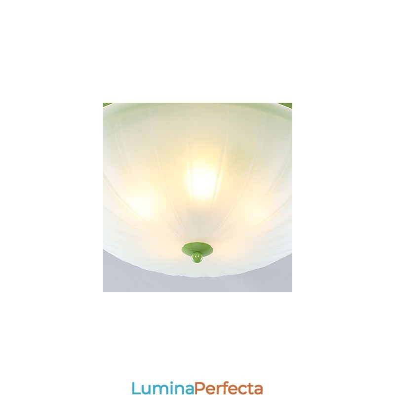 Florile și plantele de grădină de Ziua Îndrăgostiților Absorb Lumina Domului