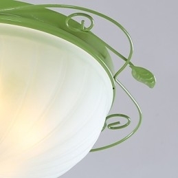 Florile și plantele de grădină de Ziua Îndrăgostiților Absorb Lumina Domului