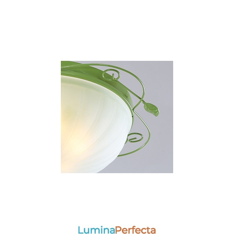 Florile și plantele de grădină de Ziua Îndrăgostiților Absorb Lumina Domului