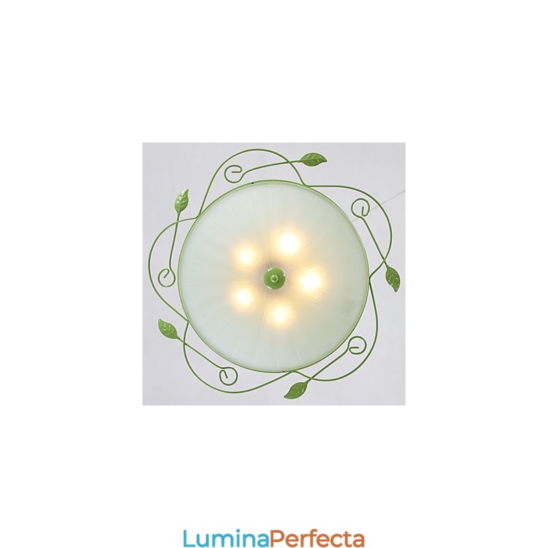 Florile și plantele de grădină de Ziua Îndrăgostiților Absorb Lumina Domului