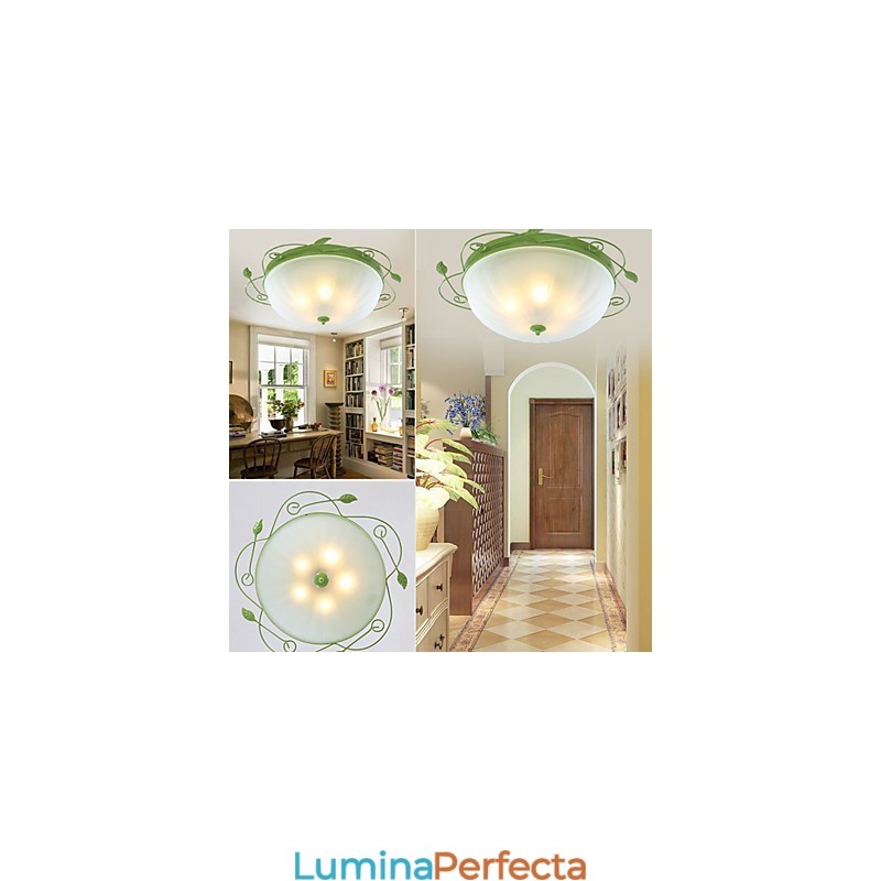 Florile și plantele de grădină de Ziua Îndrăgostiților Absorb Lumina Domului