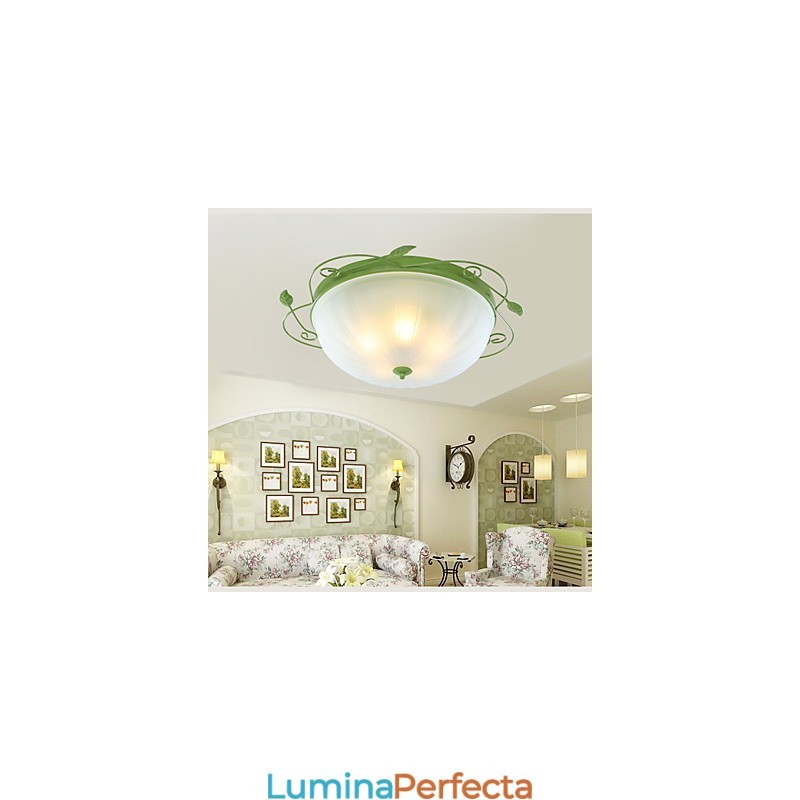 Florile și plantele de grădină de Ziua Îndrăgostiților Absorb Lumina Domului