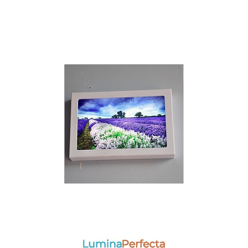 Funcție integrată de pictură modernă contemporană modernă contemporană pentru aplice de perete cu lumină ambientală