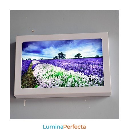 Funcție integrată de pictură modernă contemporană modernă contemporană pentru aplice de perete cu lumină ambientală Funcție integrată de pictură modernă contemporană modernă contemporană pentru aplice de perete cu lumină ambientală