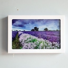 Funcție integrată de pictură modernă contemporană modernă contemporană pentru aplice de perete cu lumină ambientală