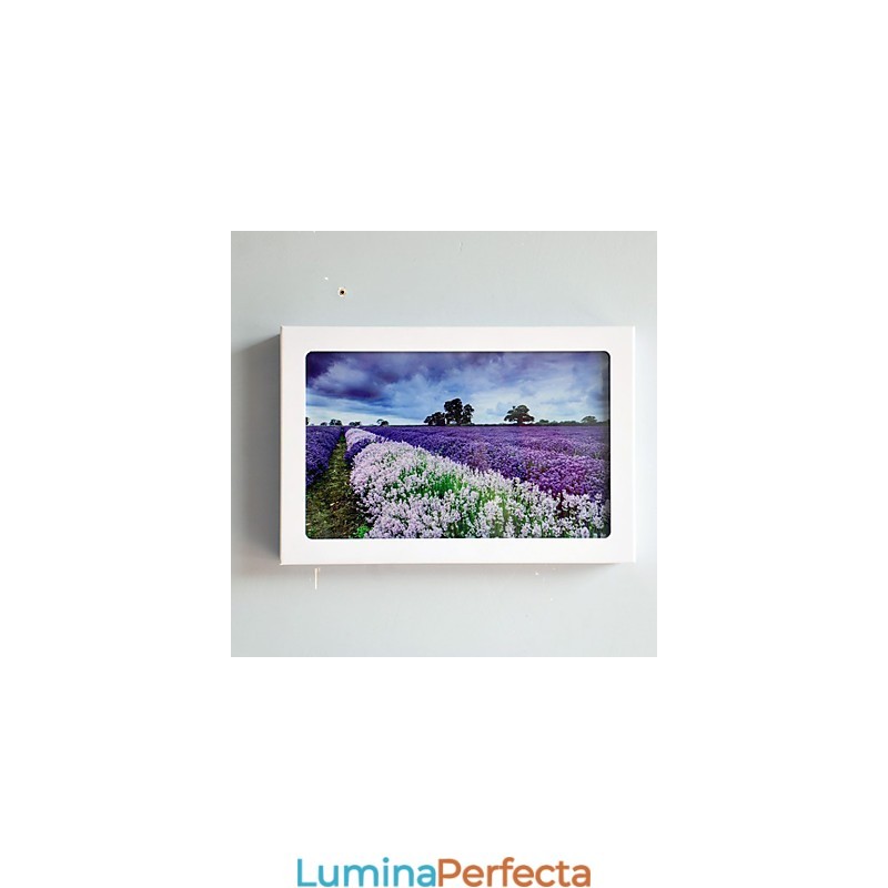 Funcție integrată de pictură modernă contemporană modernă contemporană pentru aplice de perete cu lumină ambientală