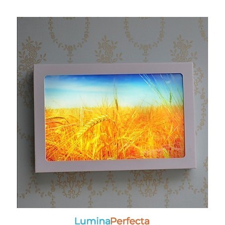 Funcție integrată de pictură modernă contemporană modernă contemporană pentru aplice de perete cu lumină ambientală Funcție integrată de pictură modernă contemporană modernă contemporană pentru aplice de perete cu lumină ambientală