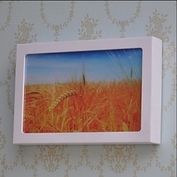 Funcție integrată de pictură modernă contemporană modernă contemporană pentru aplice de perete cu lumină ambientală