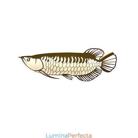 Aplice moderne de perete în formă de pește, stil simplitate, iluminat acrilic, sufragerie, hol, dormitor, camere de hotel, iluminat de decorare Aplice moderne de perete în formă de pește, stil simplitate, iluminat acrilic, sufragerie, hol, dormitor, camere de hotel, iluminat de decorare