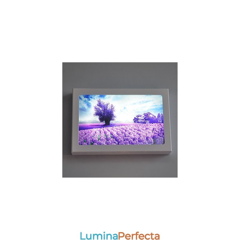 Funcție integrată de pictură modernă contemporană modernă contemporană pentru aplice de perete cu lumină ambientală