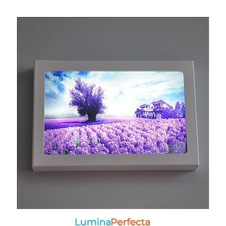 Funcție integrată de pictură modernă contemporană modernă contemporană pentru aplice de perete cu lumină ambientală Funcție integrată de pictură modernă contemporană modernă contemporană pentru aplice de perete cu lumină ambientală