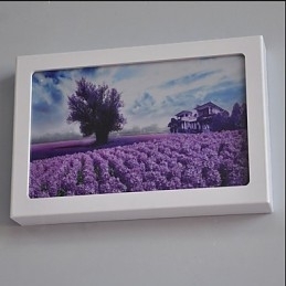 Funcție integrată de pictură modernă contemporană modernă contemporană pentru aplice de perete cu lumină ambientală