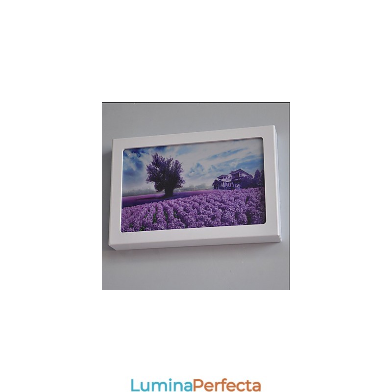Funcție integrată de pictură modernă contemporană modernă contemporană pentru aplice de perete cu lumină ambientală