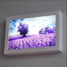 Funcție integrată de pictură modernă contemporană modernă contemporană pentru aplice de perete cu lumină ambientală