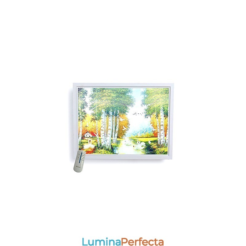 Funcție integrată de pictură modernă contemporană modernă contemporană pentru aplice de perete cu lumină ambientală