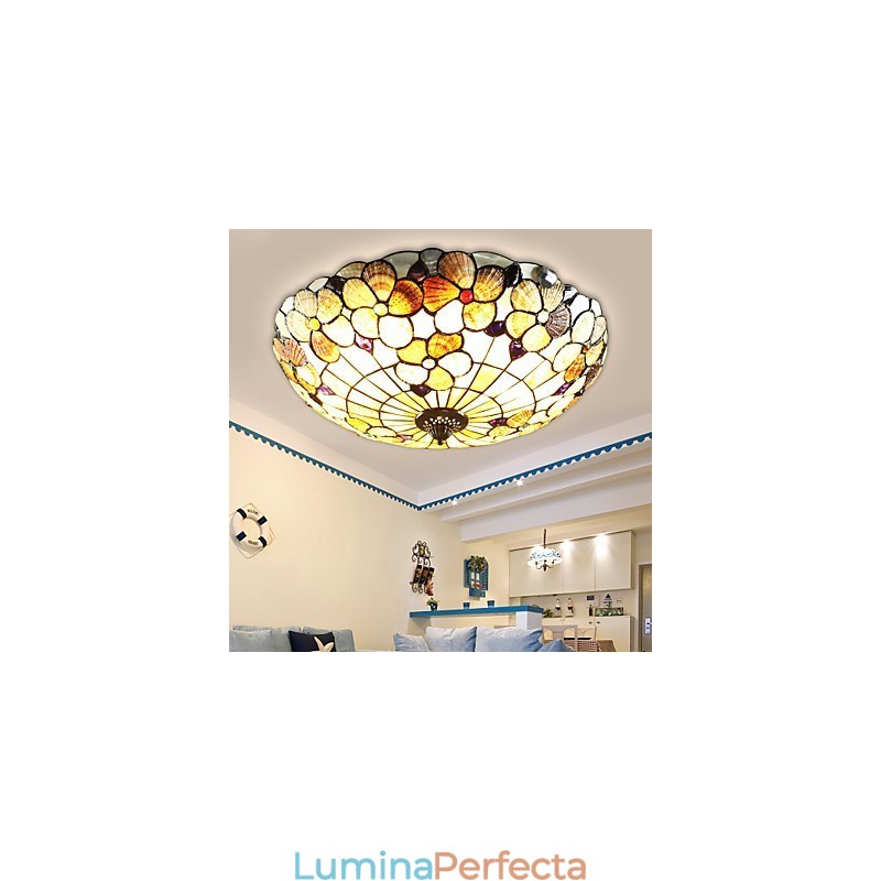 Scoicile Mării Mediterane Absorb Lumina Domului Coșul Rural