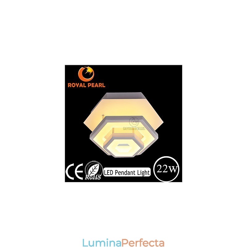 Plafoniera Modern Light 22W