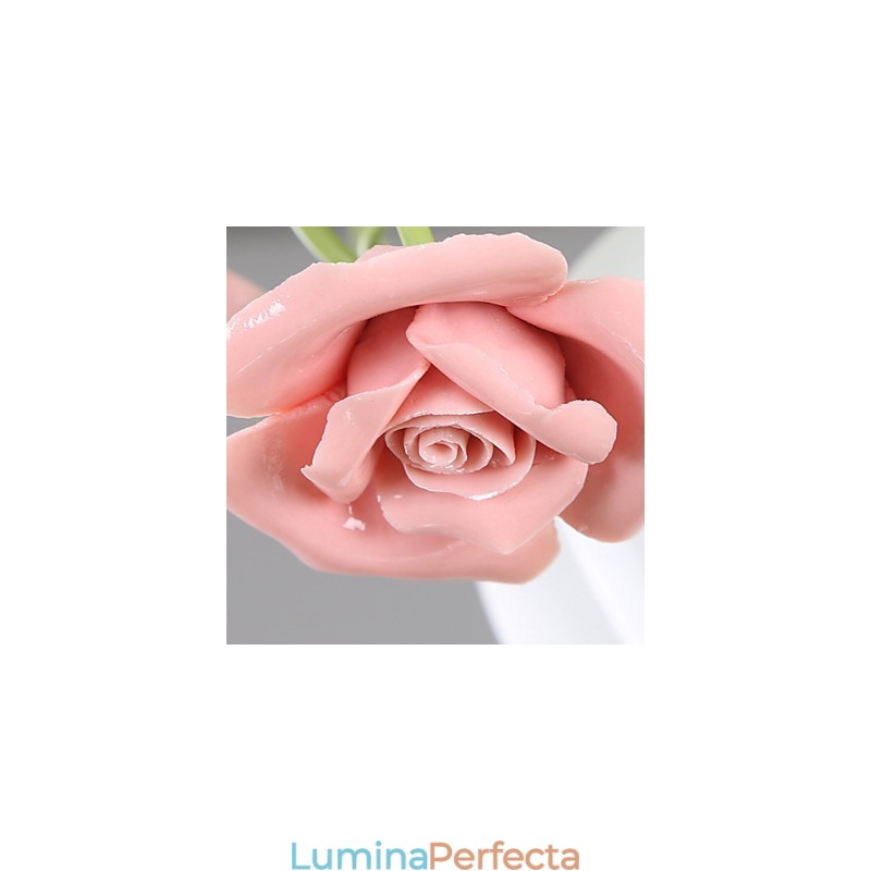 Ziua Îndrăgostiților Florile și plantele din grădina de trandafiri absoarbe lumina domului