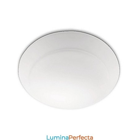 Modern Contemporan Pictură PHILIPS Acrilic Flush Mount Modern Contemporan Pictură PHILIPS Acrilic Flush Mount