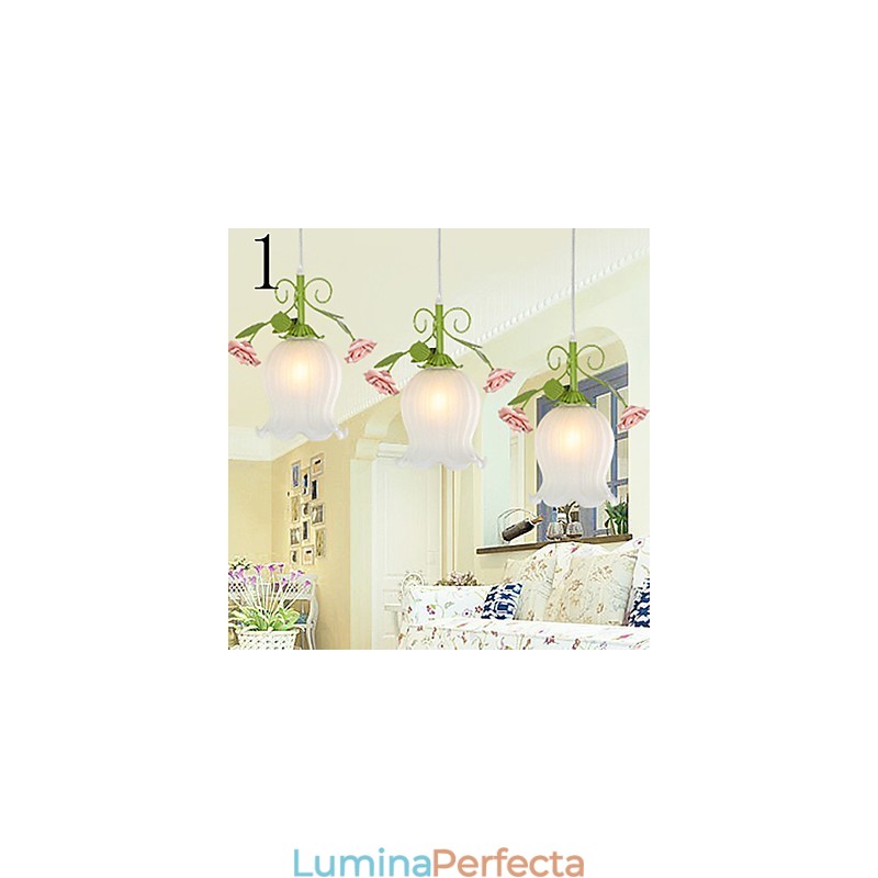 Florile și plantele de grădină de Ziua Îndrăgostiților Absorb Lumina Domului