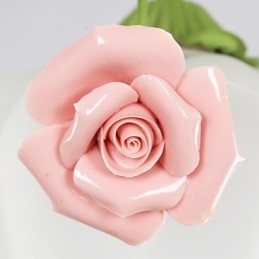 Florile și plantele de grădină de Ziua Îndrăgostiților Absorb Lumina Domului