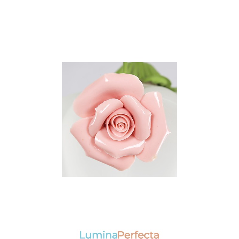 Florile și plantele de grădină de Ziua Îndrăgostiților Absorb Lumina Domului