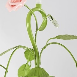 Florile și plantele de grădină de Ziua Îndrăgostiților Absorb Lumina Domului